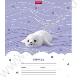 Тетрадь  12л линейка "тюЛень" 5видов | Фото 1