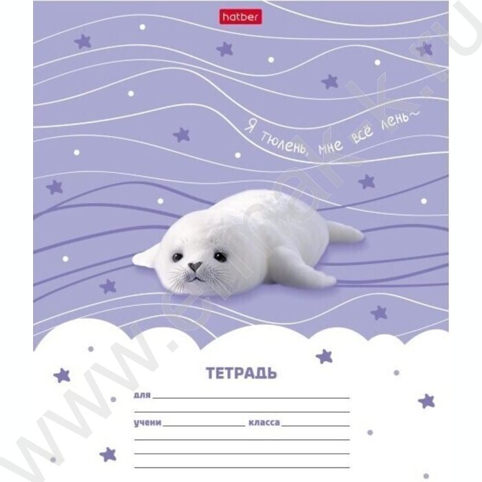 Тетрадь  12л линейка "тюЛень" 5видов | Фото 1