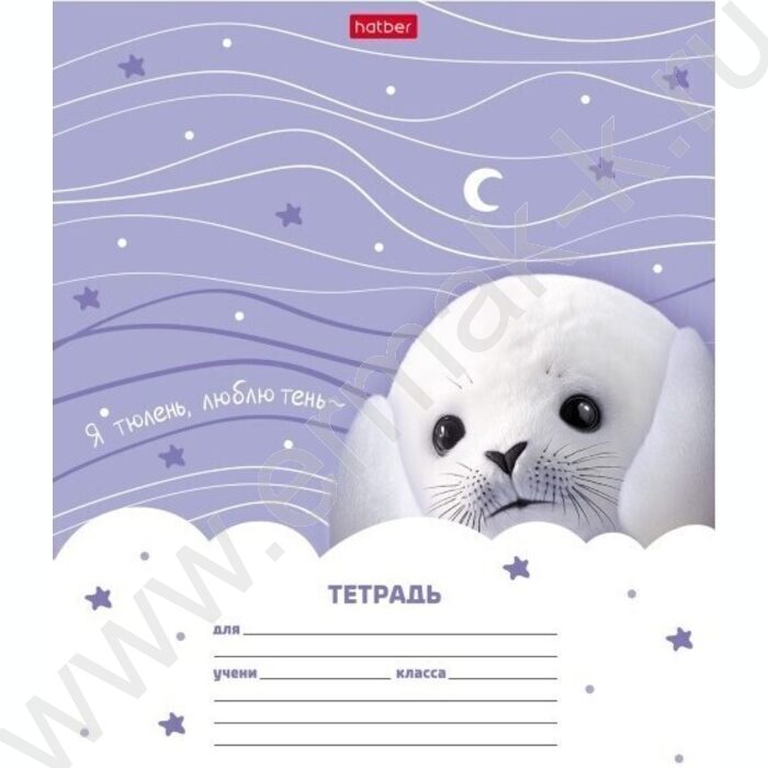 Тетрадь  12л линейка "тюЛень" 5видов | Фото 2