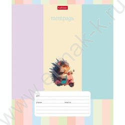 Тетрадь  12л линейка "Ежик-мечтатель" 5видов | Фото 1