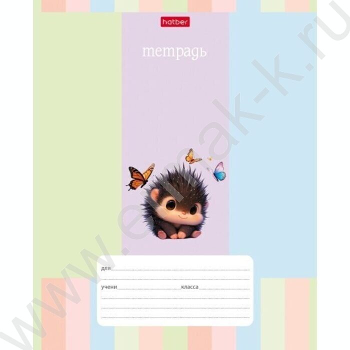 Тетрадь  12л линейка "Ежик-мечтатель" 5видов | Фото 2