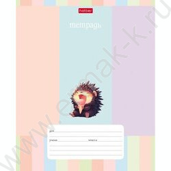 Тетрадь  12л линейка "Ежик-мечтатель" 5видов | Фото 4