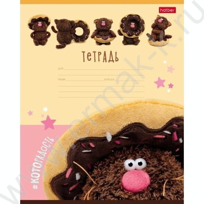 Тетрадь  12л линейка "Кофейные коты" 5видов | Фото 3