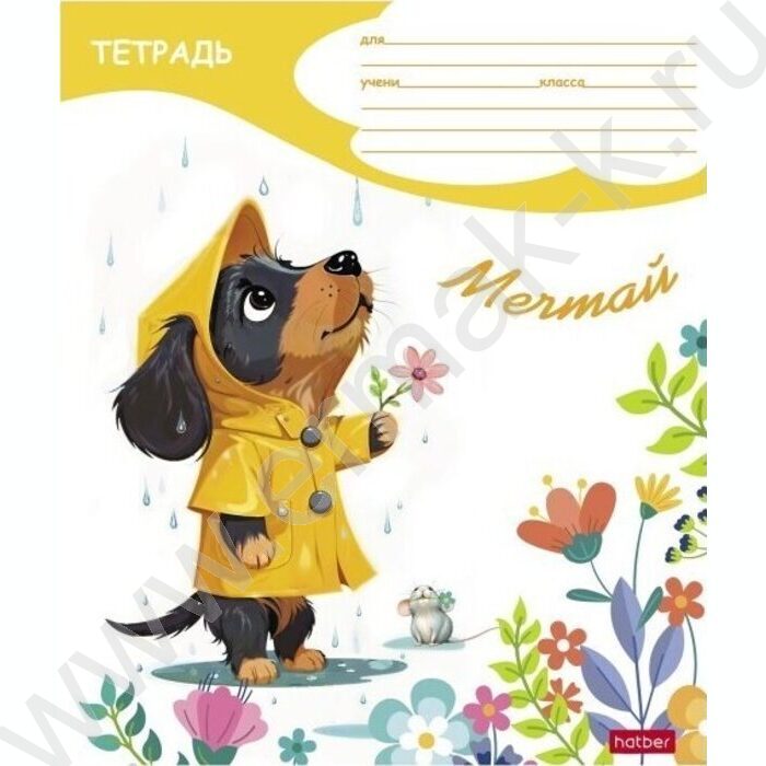 Тетрадь  12л клетка "Под дождиком" 5видов | Фото 1