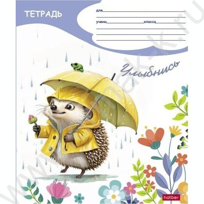 Тетрадь  12л клетка "Под дождиком" 5видов | Фото 5