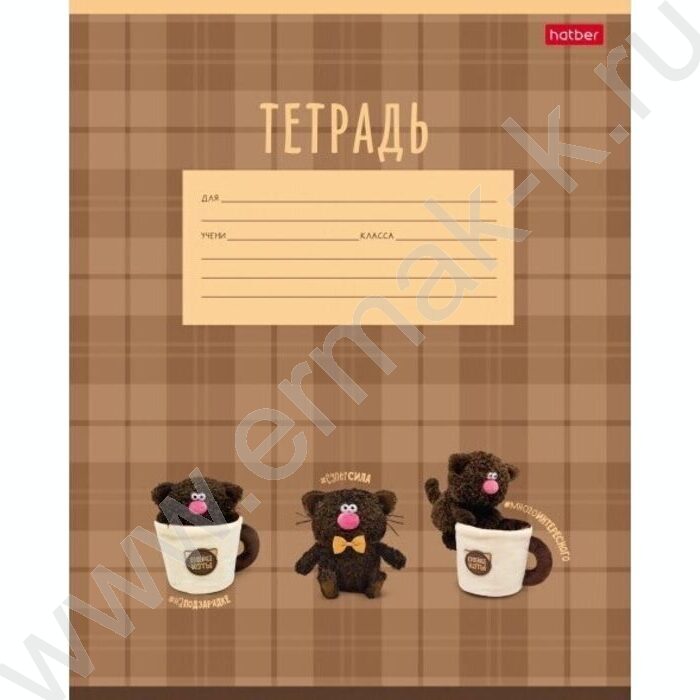 Тетрадь  12л клетка "Кофейные коты- Выпуск №1" 5видов | Фото 5