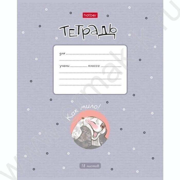 Тетрадь  18л клетка "Калан Кеша" 5видов | Фото 3