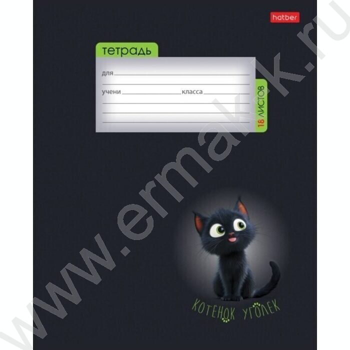 Тетрадь  18л клетка "Котенок уголек" 5видов | Фото 2