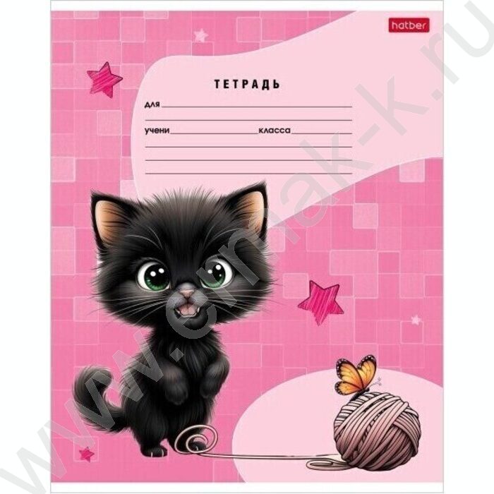Тетрадь  18л линейка "Черный котик" 5видов | Фото 2