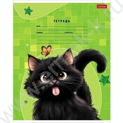 Тетрадь  18л линейка "Черный котик" 5видов | Фото 3