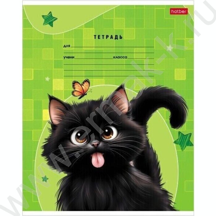 Тетрадь  18л линейка "Черный котик" 5видов | Фото 3