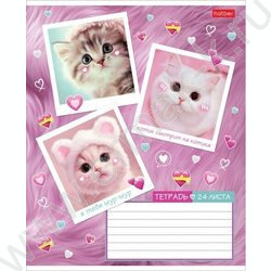 Тетрадь  24л клетка "Мяу-статусы" 5видов | Фото 1