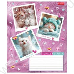 Тетрадь  24л клетка "Мяу-статусы" 5видов | Фото 4