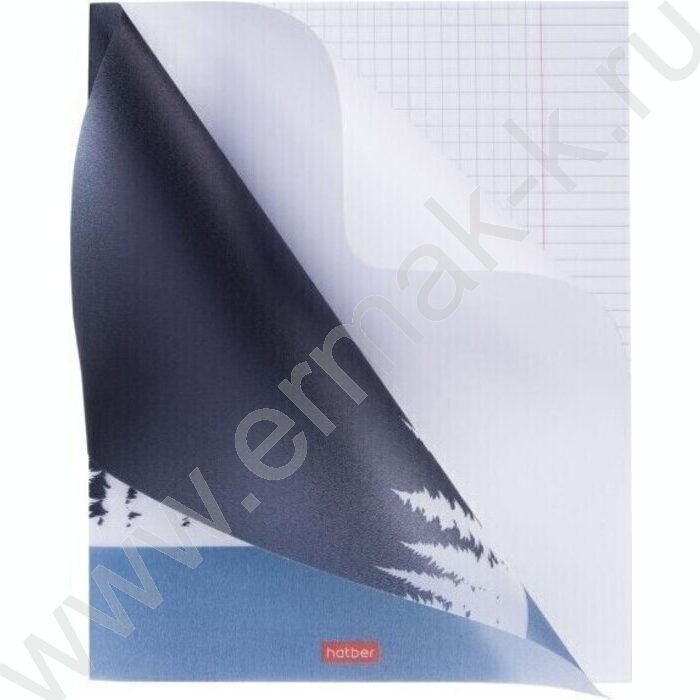 Тетрадь  80л клетка/пластик обл. "Разные вертикали" ассорти | Фото 6