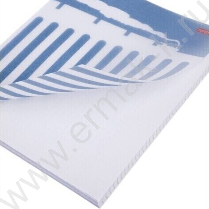 Тетрадь  80л клетка/пластик обл. "Разные вертикали" ассорти | Фото 7