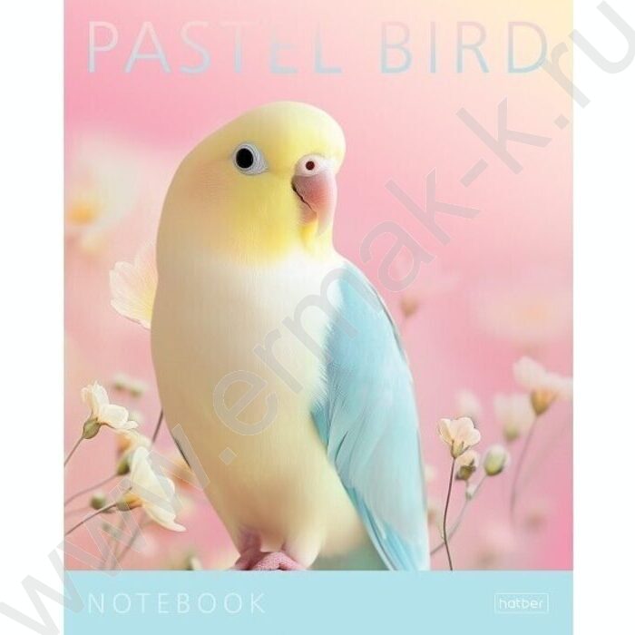 Тетрадь  96л клетка/пластик обл. "Pastel Animals" ассорти | Фото 1