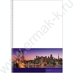 Тетрадь 100л А4 клетка/спираль-перфорация/карман "CityScape" / УФ-лак/ | Фото 2