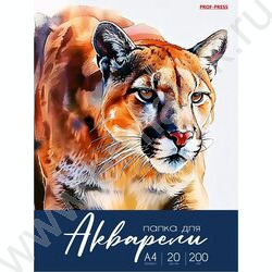 Папка д/акварели А4 20л 200г/м2 "Разнообразная акварель-5" | Фото 1