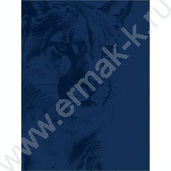 Папка д/акварели А4 20л 200г/м2 "Разнообразная акварель-5" | Фото 3