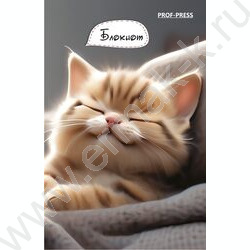 Блокнот  48л А7 "Котик дома-1" ассорти | Фото 1