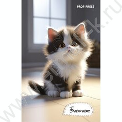 Блокнот  48л А7 "Котик дома-1" ассорти | Фото 2
