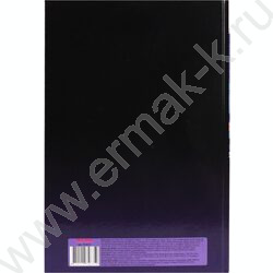 Книга Учёта  96л клетка тв.обл.офсет "Городской пейзаж-2" | Фото 4