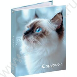 Тетрадь  80л клетка/кольца "Голубоглазая кошка" /глянец/лён | Фото 1