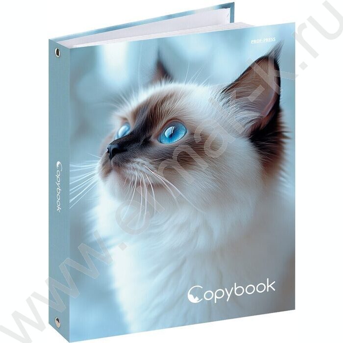 Тетрадь  80л клетка/кольца "Голубоглазая кошка" /глянец/лён | Фото 1