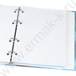 Тетрадь  80л клетка/кольца "Голубоглазая кошка" /глянец/лён | Фото 3