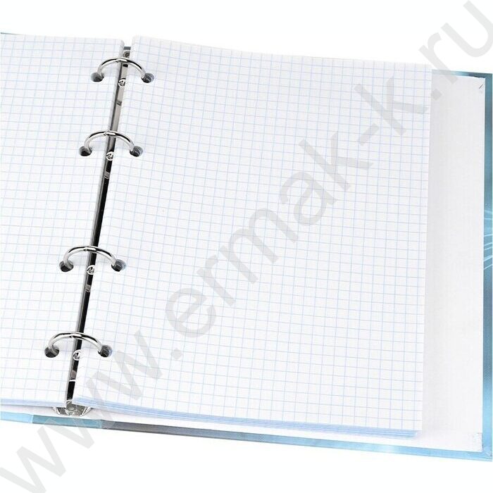 Тетрадь  80л клетка/кольца "Голубоглазая кошка" /глянец/лён | Фото 3