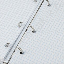 Тетрадь  80л клетка/кольца "Голубоглазая кошка" /глянец/лён | Фото 4