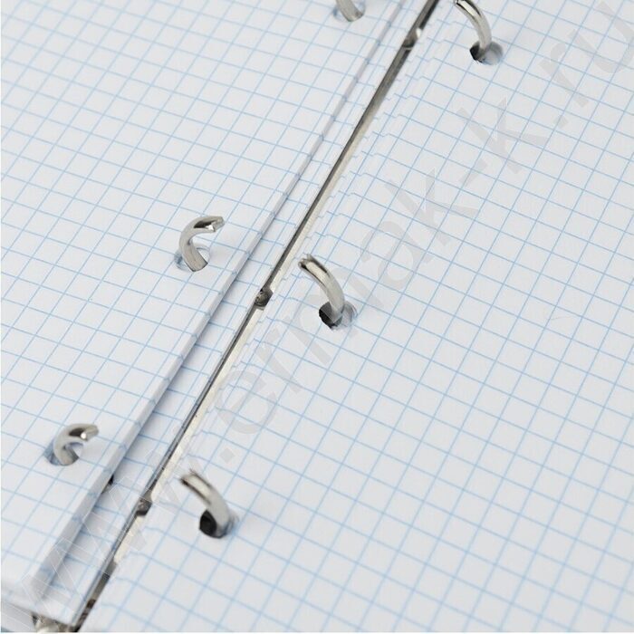 Тетрадь  80л клетка/кольца "Голубоглазая кошка" /глянец/лён | Фото 4