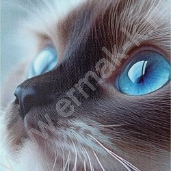 Тетрадь  80л клетка/кольца "Голубоглазая кошка" /глянец/лён | Фото 6