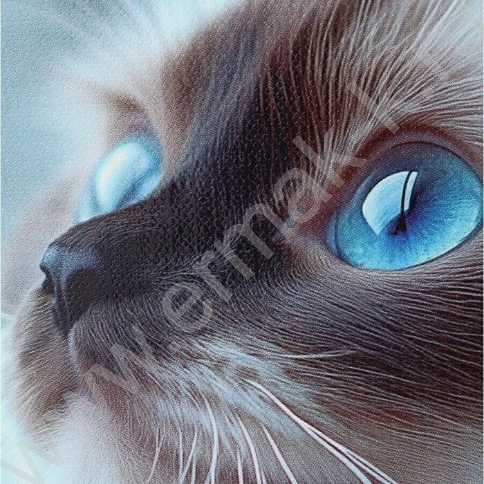 Тетрадь  80л клетка/кольца "Голубоглазая кошка" /глянец/лён | Фото 6