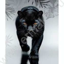 Тетрадь  80л клетка/кольца "Грациозная пантера-2" /глянец/лён | Фото 5