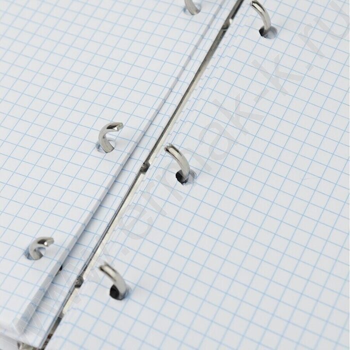 Тетрадь  80л клетка/кольца "Взгляд на мир" | Фото 4