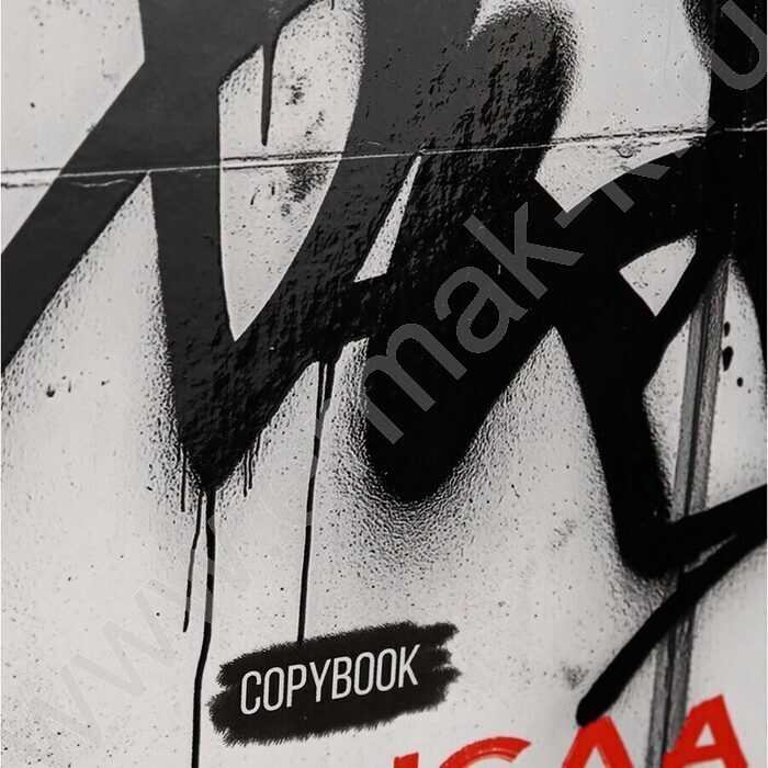 Тетрадь  80л клетка/кольца "Граффтити с красным" | Фото 6