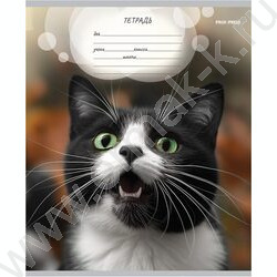Тетрадь  12л линейка "Мордочки котиков" 5видов | Фото 2
