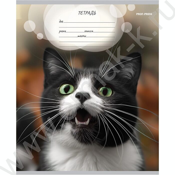 Тетрадь  12л линейка "Мордочки котиков" 5видов | Фото 2