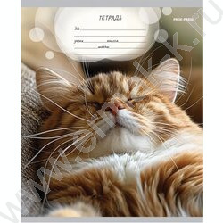 Тетрадь  12л линейка "Мордочки котиков" 5видов | Фото 3