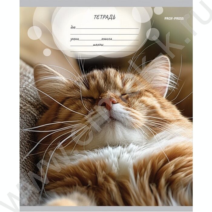 Тетрадь  12л линейка "Мордочки котиков" 5видов | Фото 3