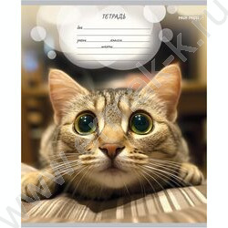 Тетрадь  12л линейка "Мордочки котиков" 5видов | Фото 4