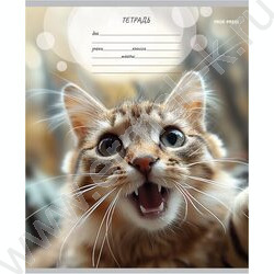Тетрадь  12л линейка "Мордочки котиков" 5видов | Фото 5