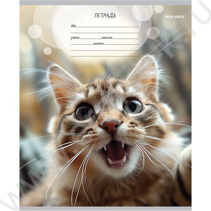 Тетрадь  12л линейка "Мордочки котиков" 5видов | Фото 5
