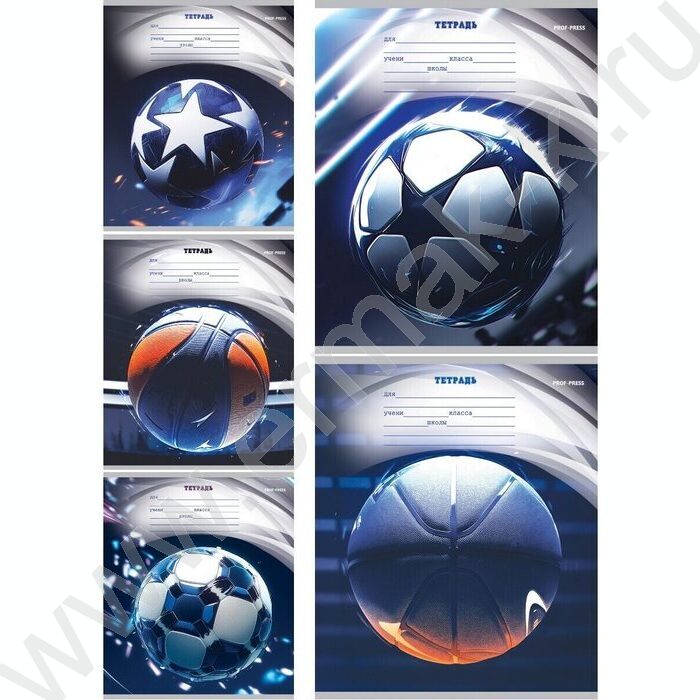 Тетрадь  12л линейка "Разные мячи-3" 5видов | Фото 1