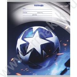 Тетрадь  12л линейка "Разные мячи-3" 5видов | Фото 2