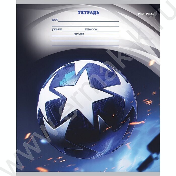 Тетрадь  12л линейка "Разные мячи-3" 5видов | Фото 2