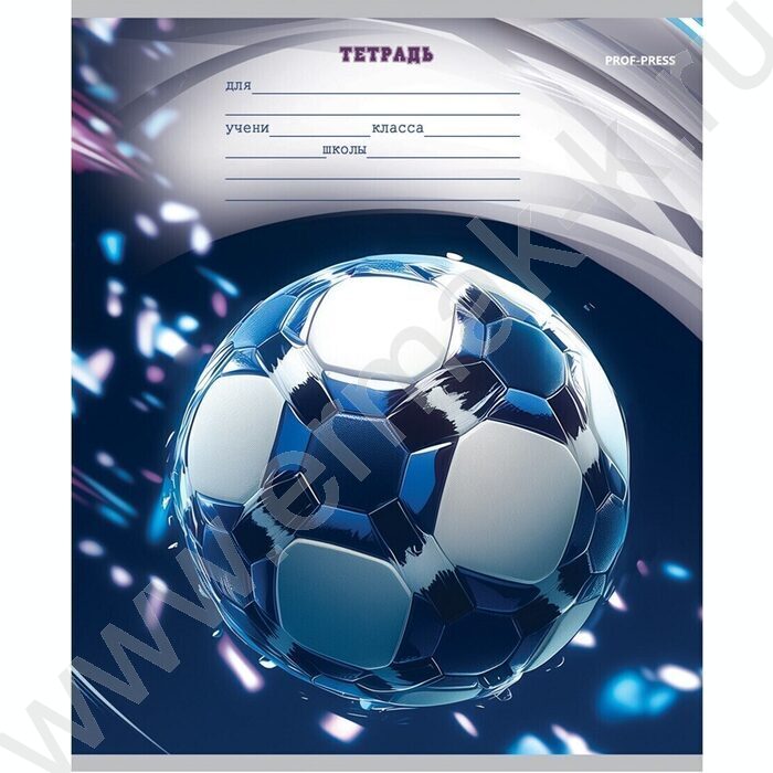 Тетрадь  12л линейка "Разные мячи-3" 5видов | Фото 4