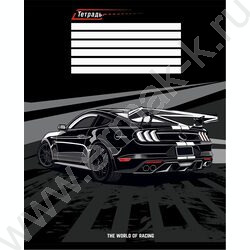 Тетрадь  12л линейка косая "Микс авто" /твин-лак/ 5видов | Фото 4