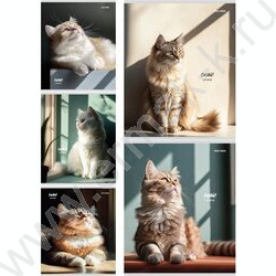 Тетрадь  48л клетка "Котики на солнце" /лен/ ассорти | Фото 1